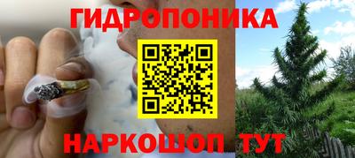 ПСИЛОЦИБИНОВЫЕ ГРИБЫ Конаково