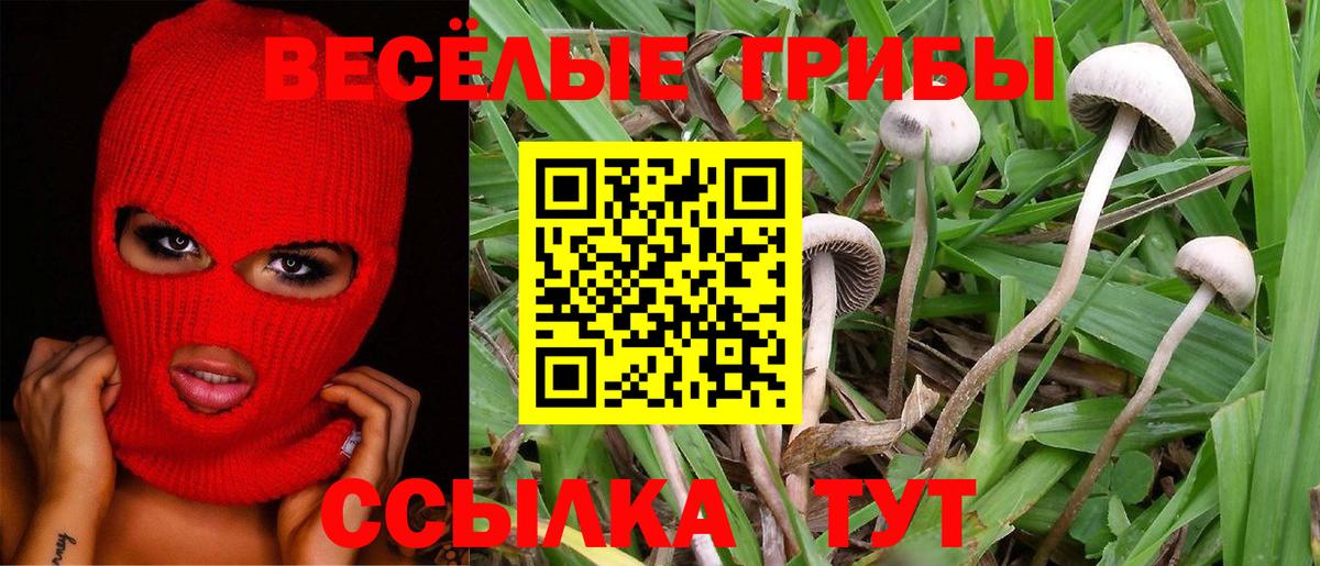 Псилоцибиновые грибы прущие грибы Алапаевск
