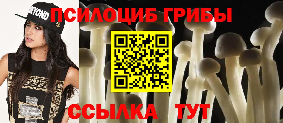 Алапаевск  Галлюциногенные грибы Psilocybe  Вход с VPN 